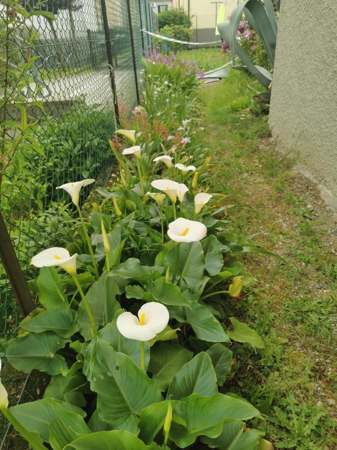Grandma'S Garden House Villa Angera Dış mekan fotoğraf